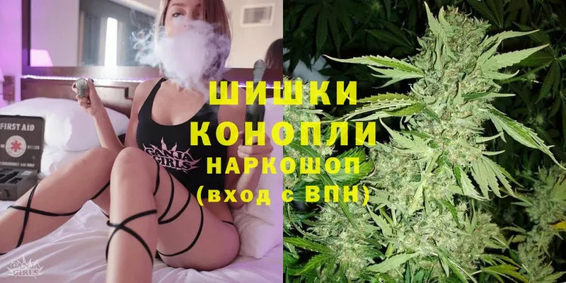 Конопля SATIVA & INDICA  Баксан 